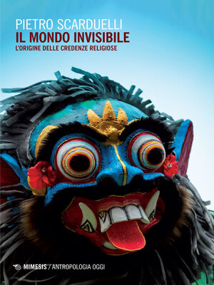 cover image of Il mondo invisibile